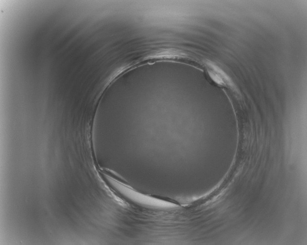 X0000075821329200609291401