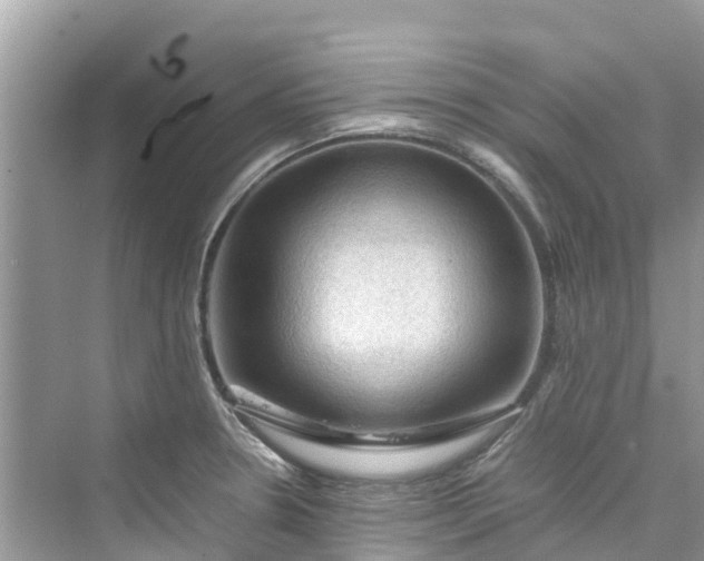 X0000075821330200609291401