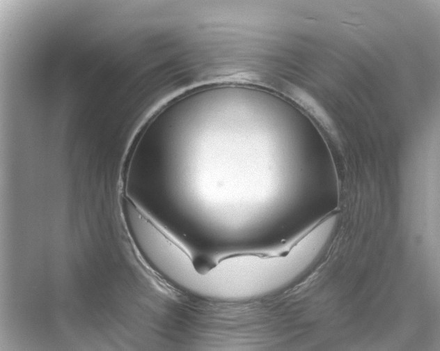 X0000075821332200609291401