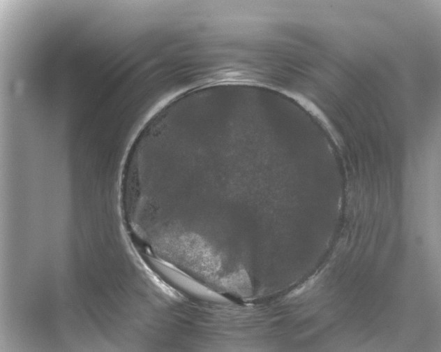 X0000075821333200609291401