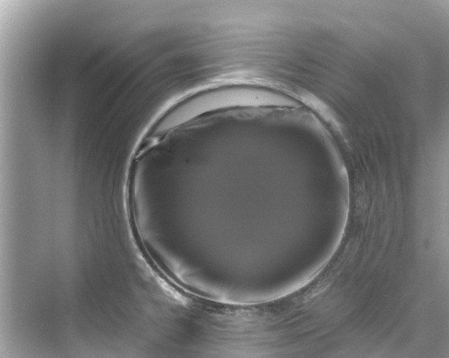 X0000075821334200609291401