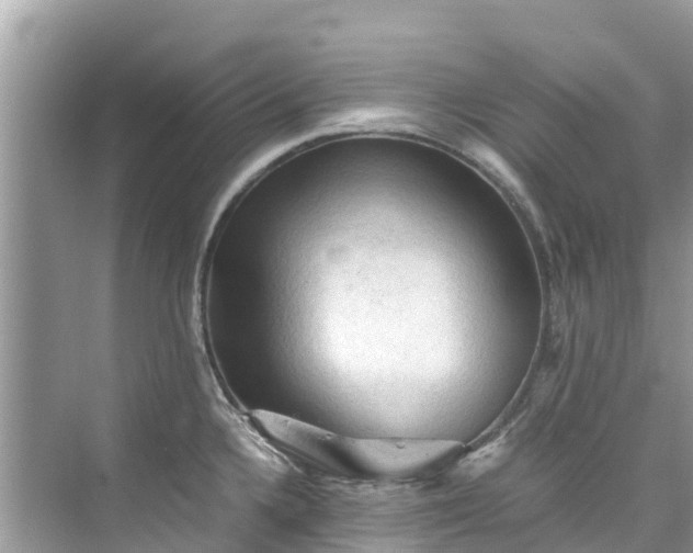 X0000075821336200609291401