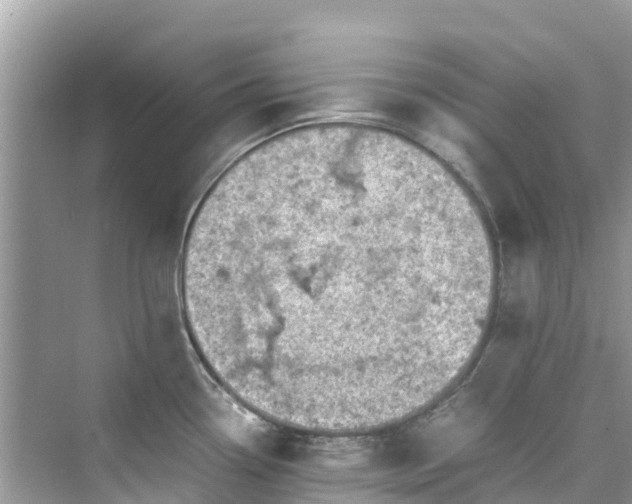 X0000075821338200609291401