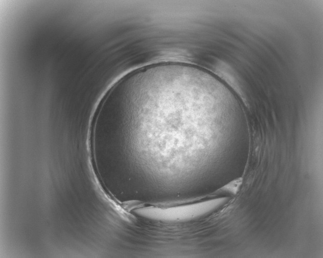 X0000075821339200609291401