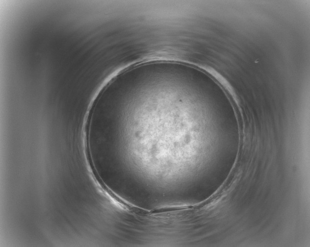 X0000075821341200609291401