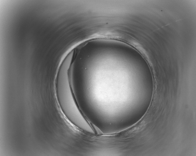 X0000075821344200609291401