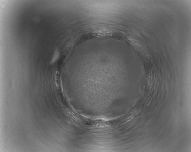 X0000075821346200609291400