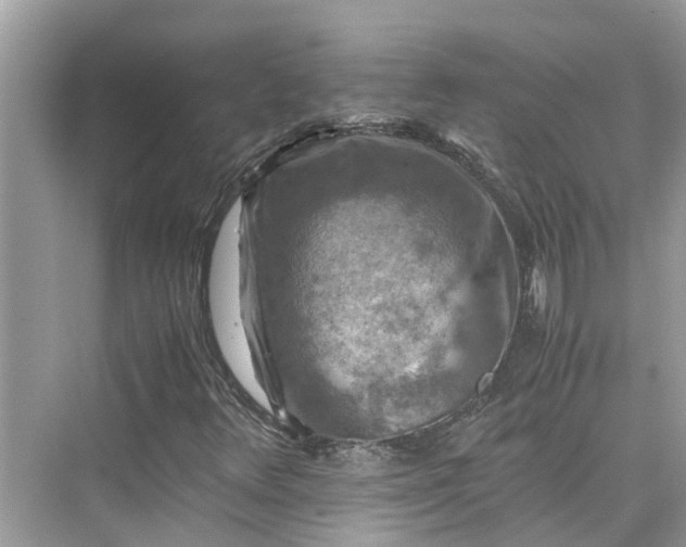 X0000075821348200609291400