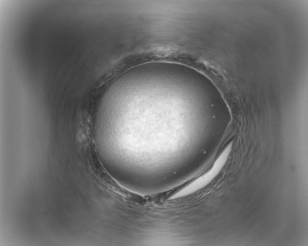 X0000075821349200609291400