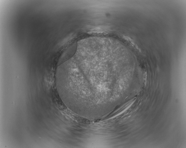 X0000075821350200609291400