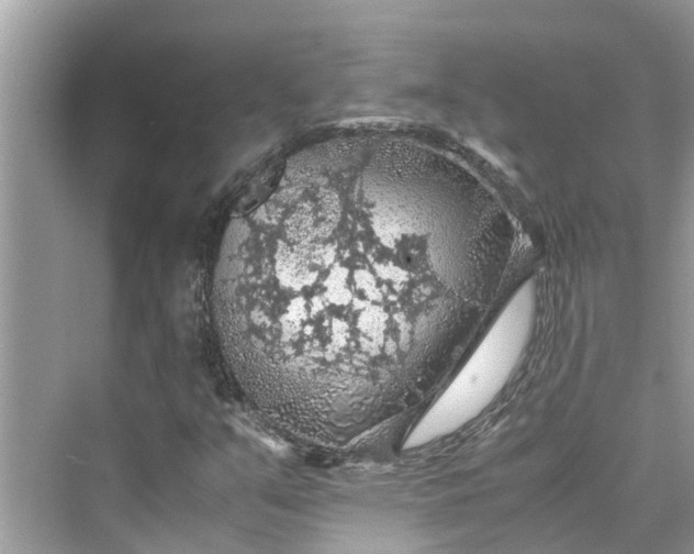 X0000075821351200609291400