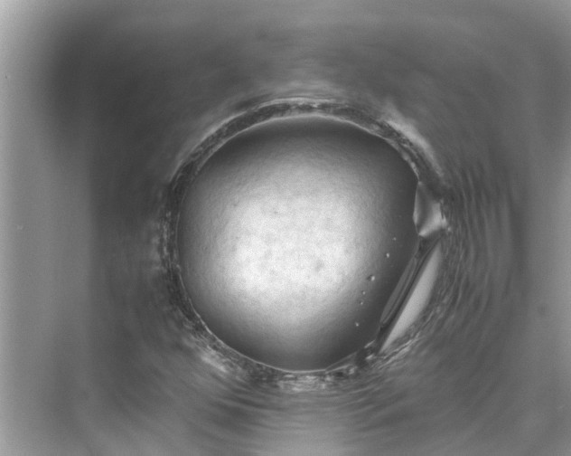 X0000075821352200609291400