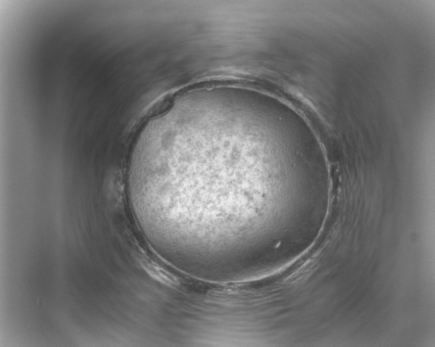 X0000075821355200609291400