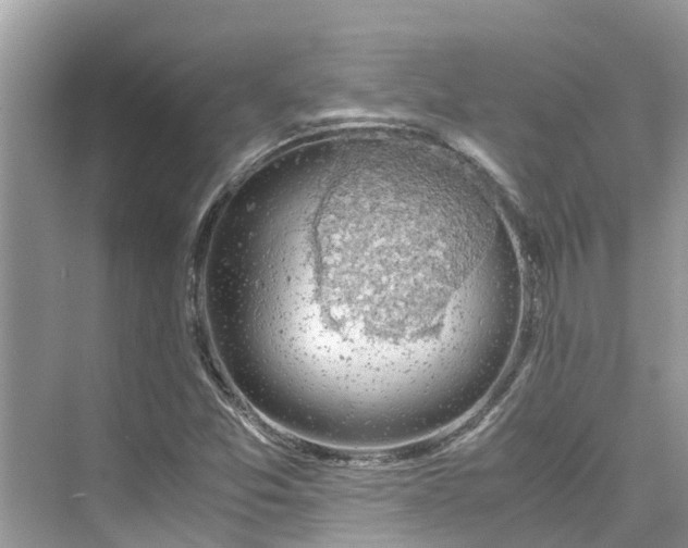 X0000075821357200609291400