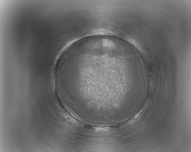 X0000075821358200609291400