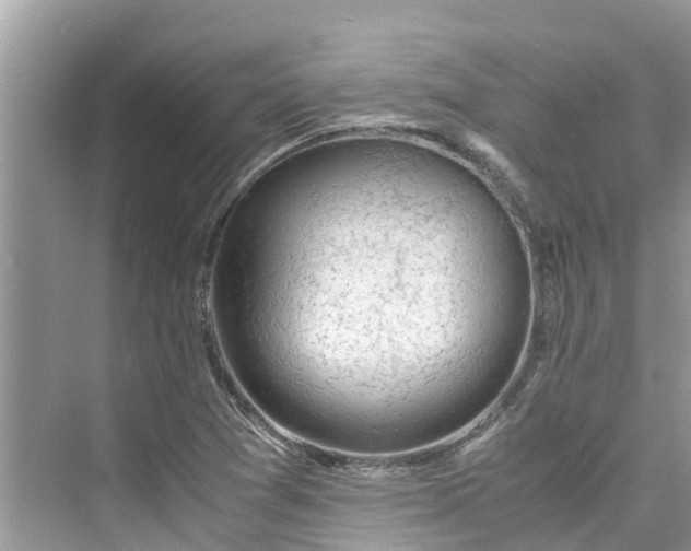 X0000075821361200609291400