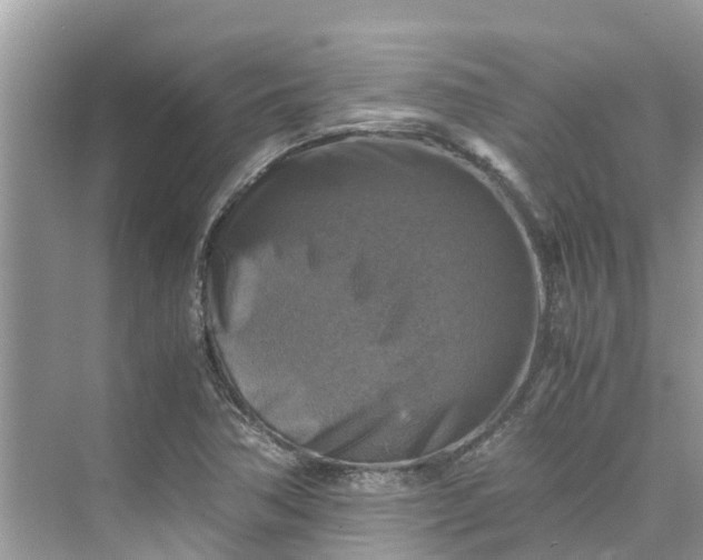 X0000075821362200609291400