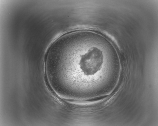 X0000075821365200609291400