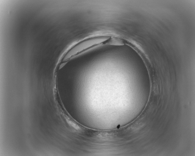 X0000075821366200609291400