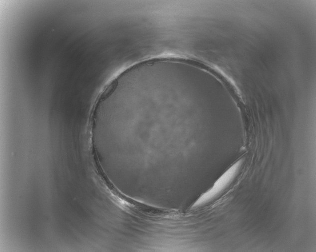 X0000075821367200609291400