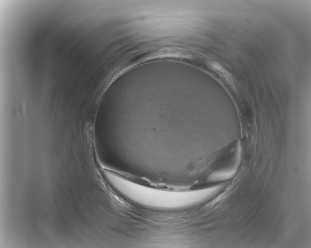 X0000075821369200609291400