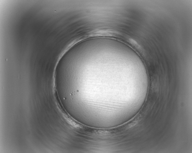 X0000075821370200609291400