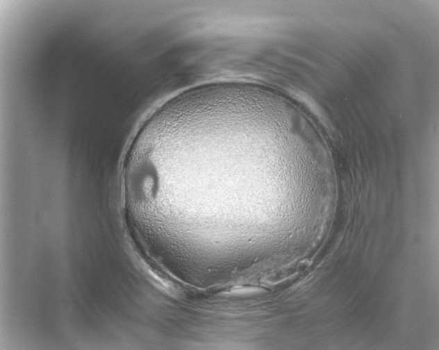 X0000075821371200609291400