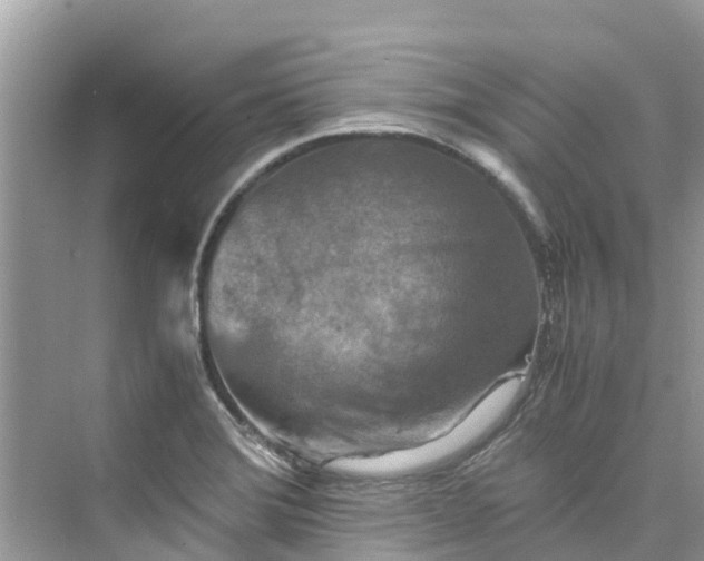 X0000075821372200609291400