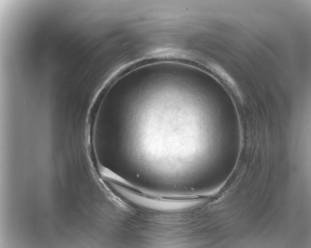 X0000075821376200609291400