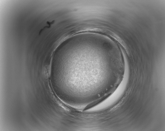 X0000075821377200609291400