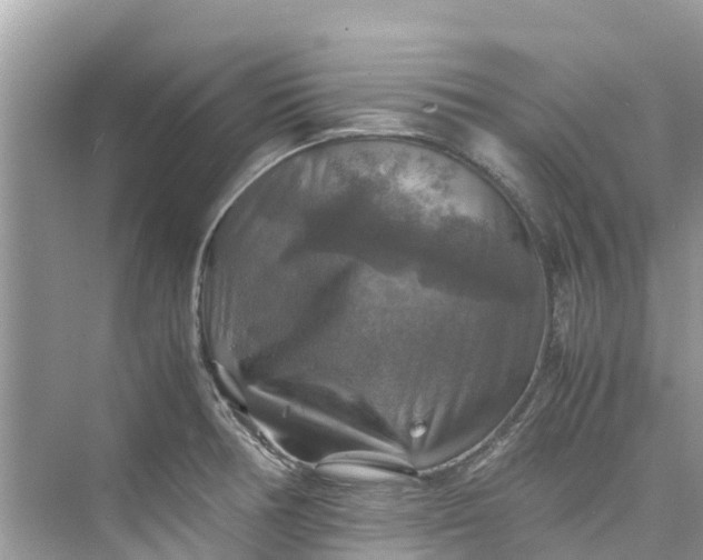 X0000075821378200609291400