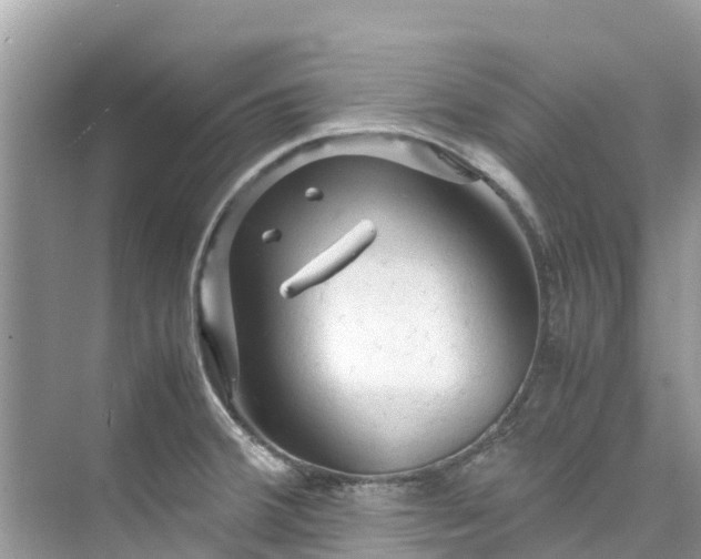 X0000075821380200609291400