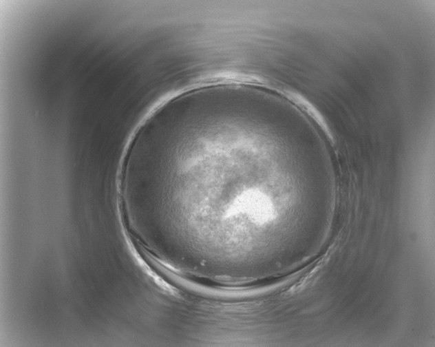 X0000075821381200609291400