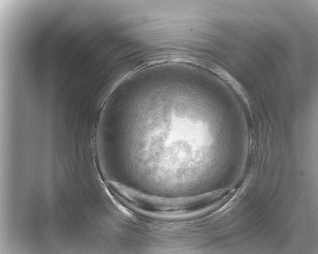 X0000075821385200609291359