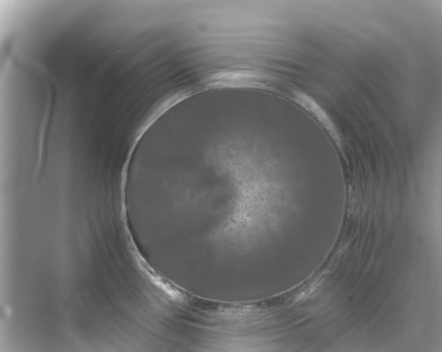 X0000075821386200609291359