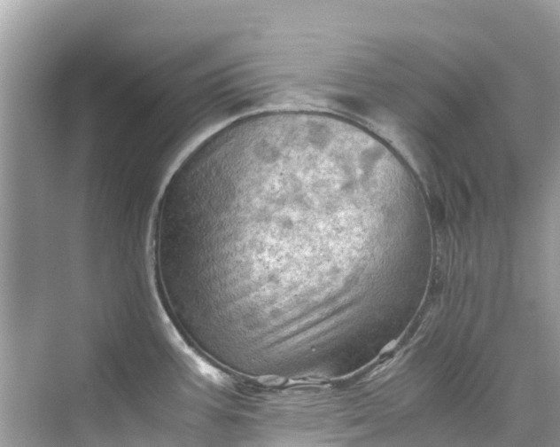 X0000075821387200609291359