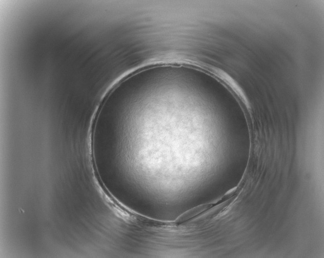 X0000075821388200609291359