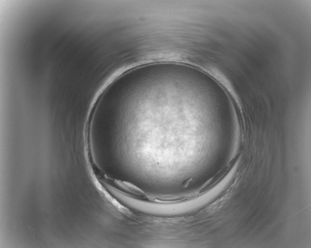 X0000075821389200609291359