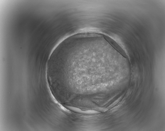 X0000075821390200609291359