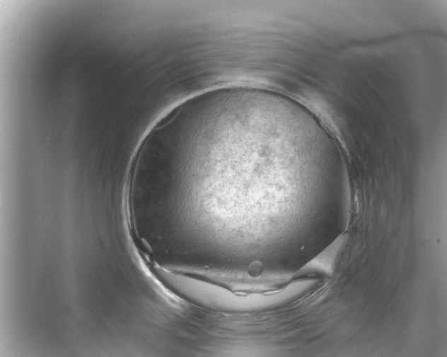 X0000075821391200609291359