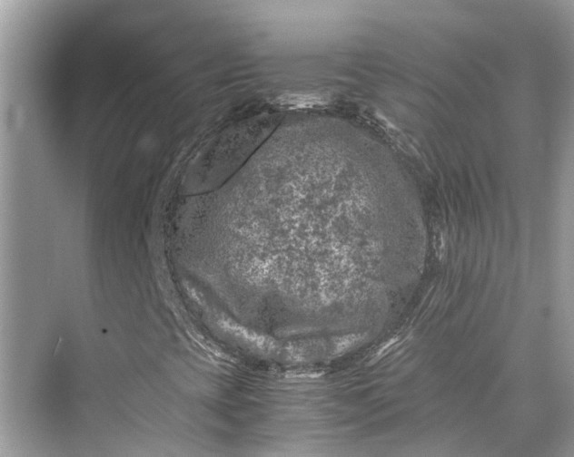 X0000075821393200609291359