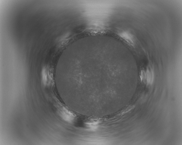 X0000075821396200609291359