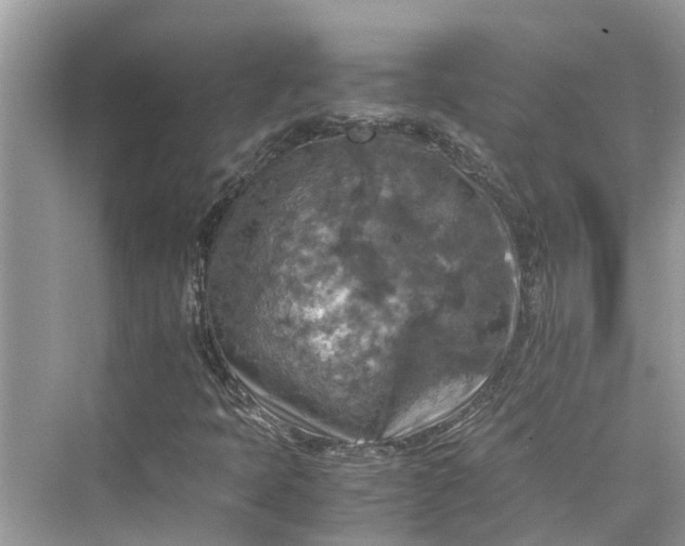 X0000075821397200609291359