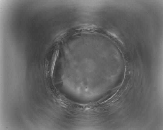 X0000075821399200609291359