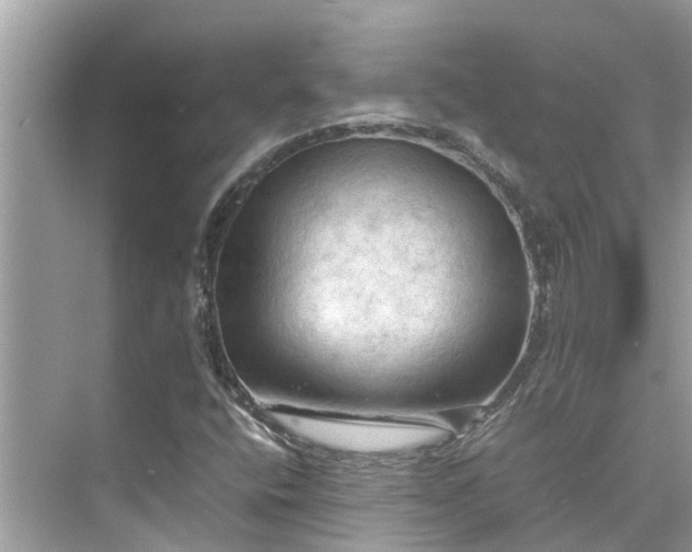 X0000075821400200609291359