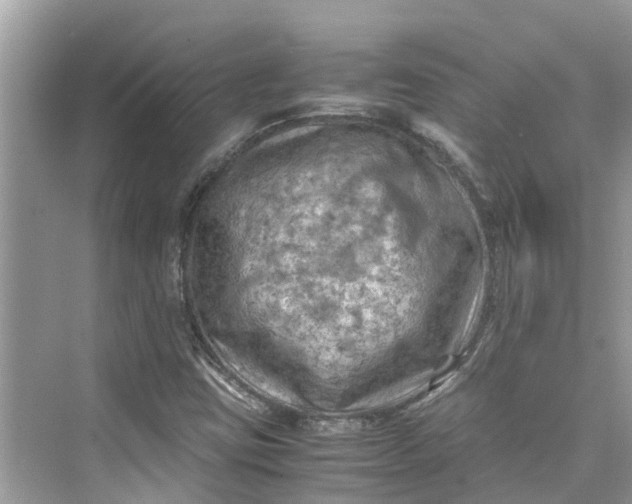 X0000075821403200609291359