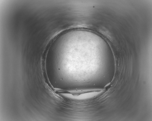 X0000075821404200609291359