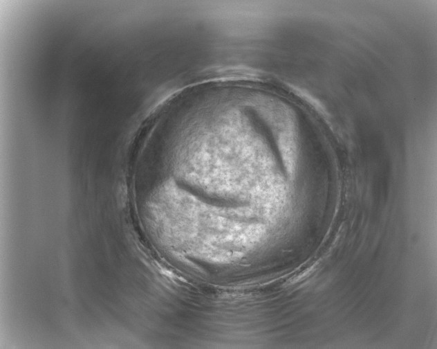 X0000075821407200609291359