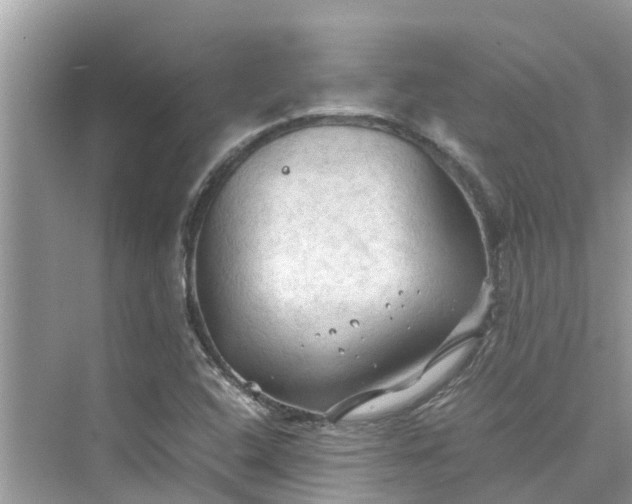 X0000075821408200609291359