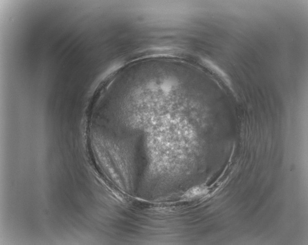 X0000075821411200609291359